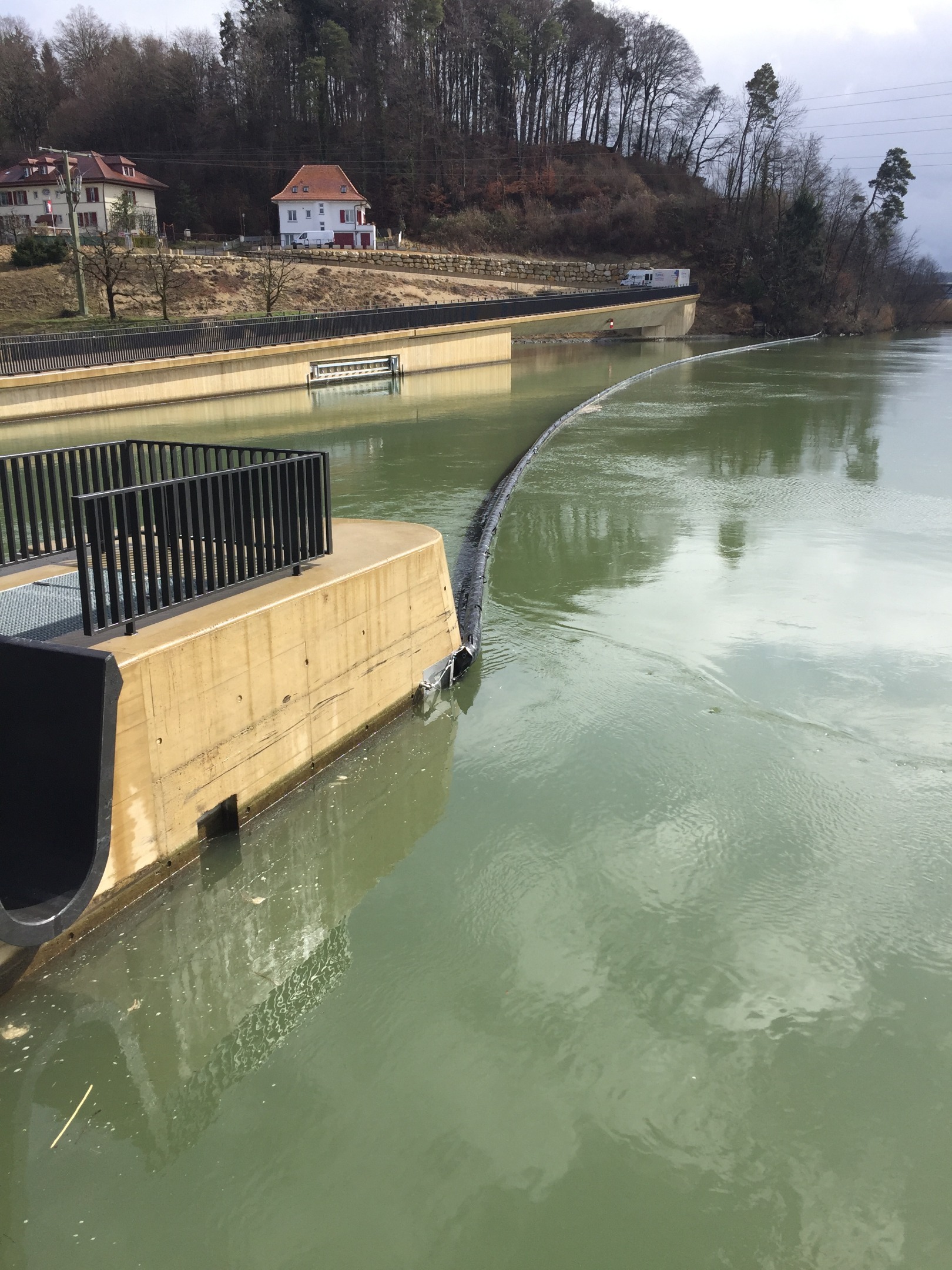 Treibgutsperre auf der Aare